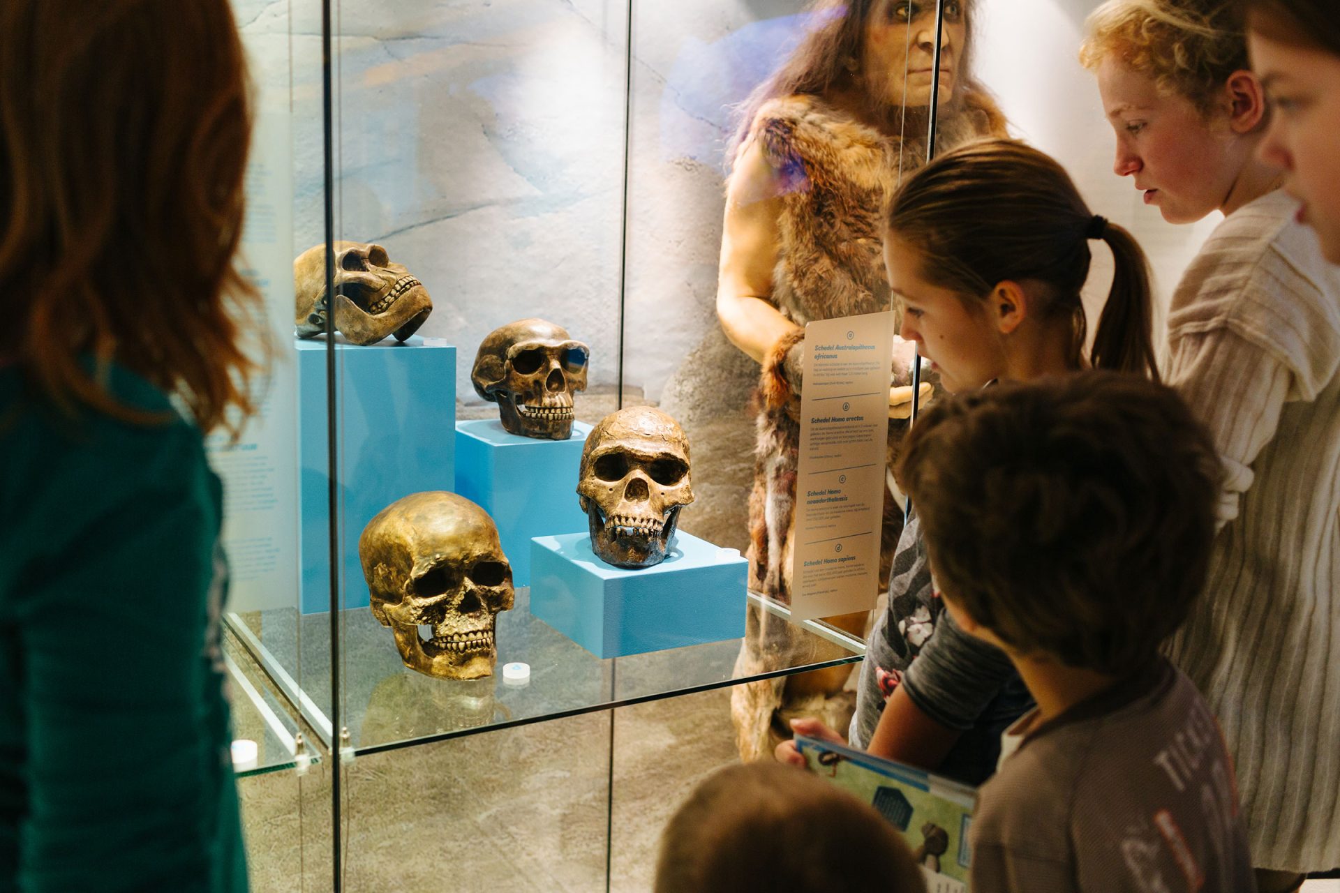 Rijksmuseum Van Oudheden Leiden Ijstijd