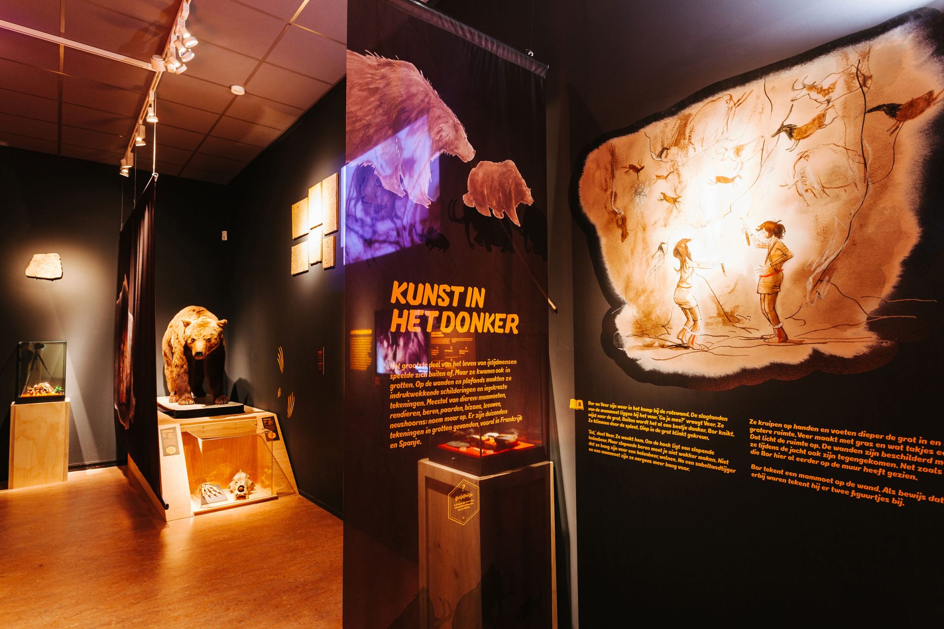 Rijksmuseum Van Oudheden Leiden Ijstijd