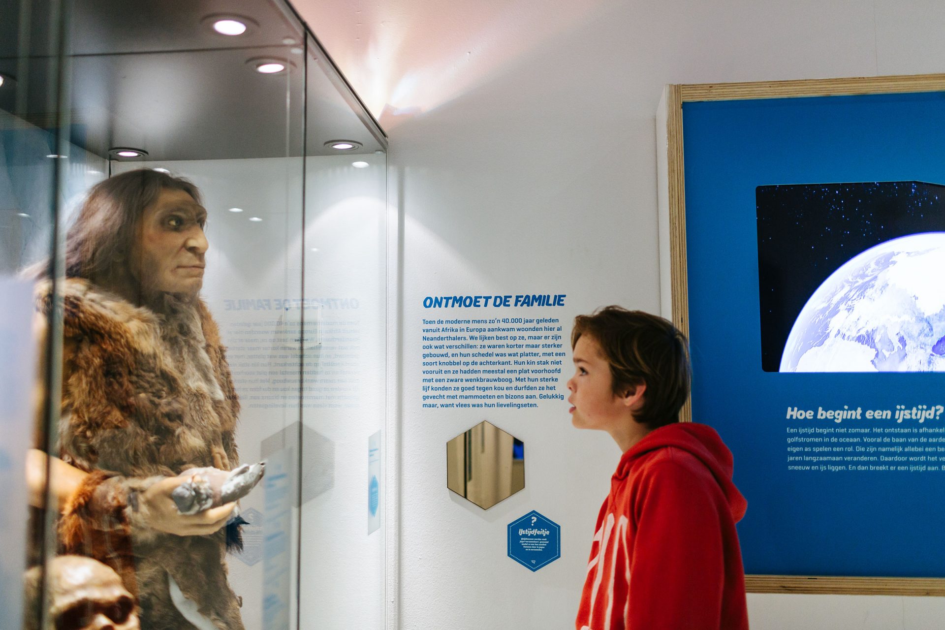 Rijksmuseum Van Oudheden Leiden Ijstijd