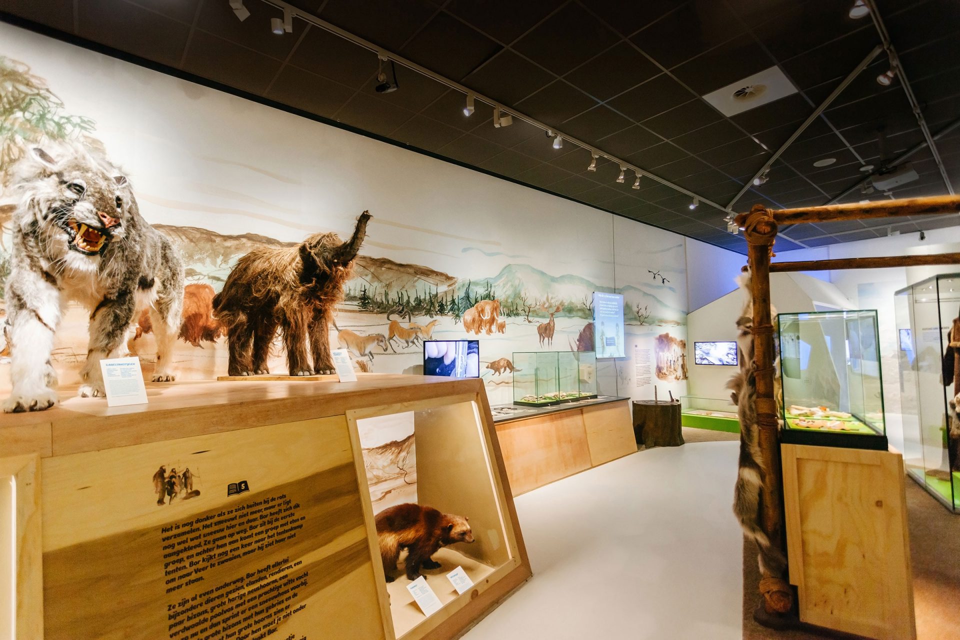 Rijksmuseum Van Oudheden Leiden Ijstijd